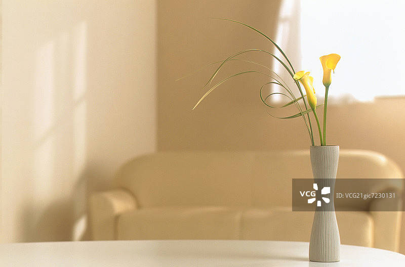客厅沙发上的花瓶图片素材
