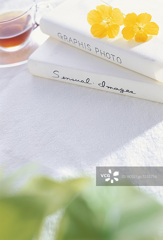 户外桌子上的艺术书籍、毛茛花和茶杯图片素材