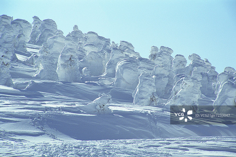 日本山形县藏王山脉的雪景树木图片素材