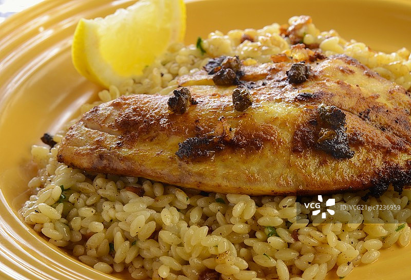 香煎非洲鲫鱼佐意大利米形面图片素材