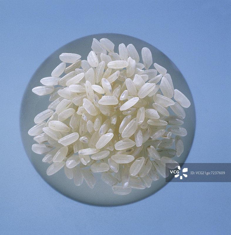 意大利调味饭图片素材