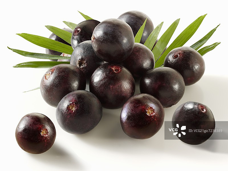 巴西莓和叶子图片素材