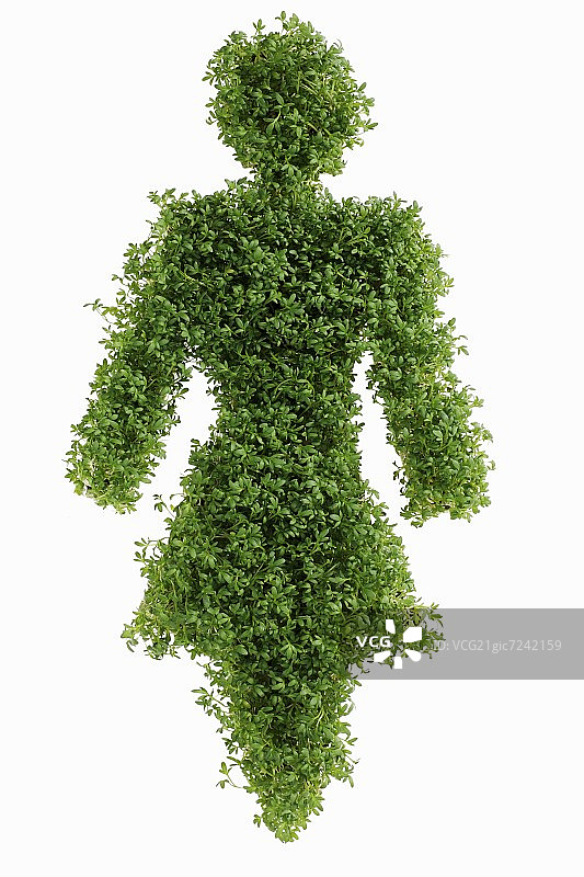 象征女性的人物（在水芹中）图片素材