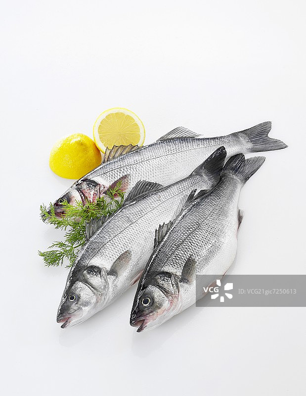 三条新鲜的海鲈鱼、柠檬和莳萝图片素材