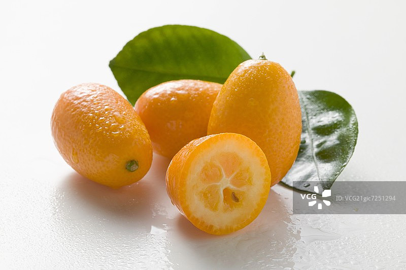 几颗带叶金橘图片素材