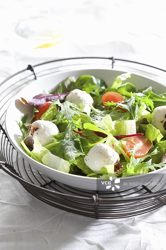 混合叶子与 Labneh 奶油奶酪沙拉图片素材