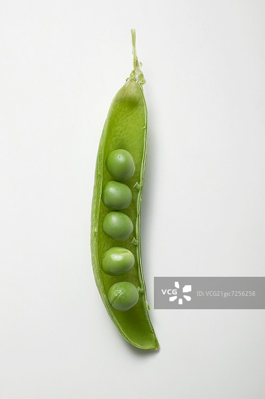 豌豆荚图片素材