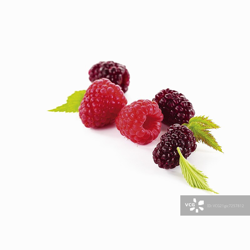 带叶子的覆盆子和黑莓图片素材