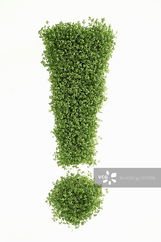 水芹中的感叹号图片素材