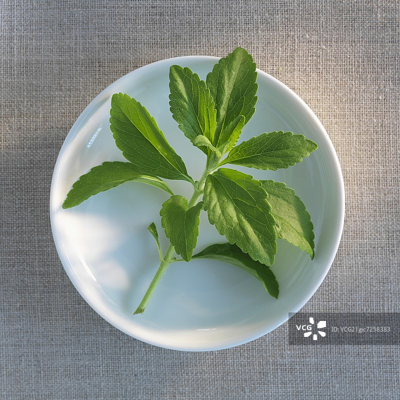 盘子里的甜叶菊枝图片素材