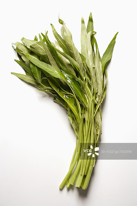 新鲜空心菜图片素材