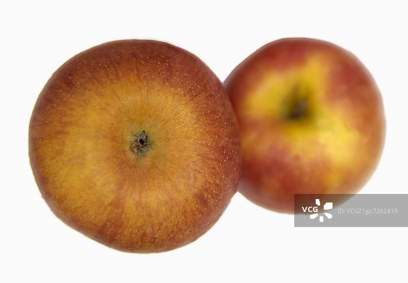 两个“粉红佳人”苹果图片素材