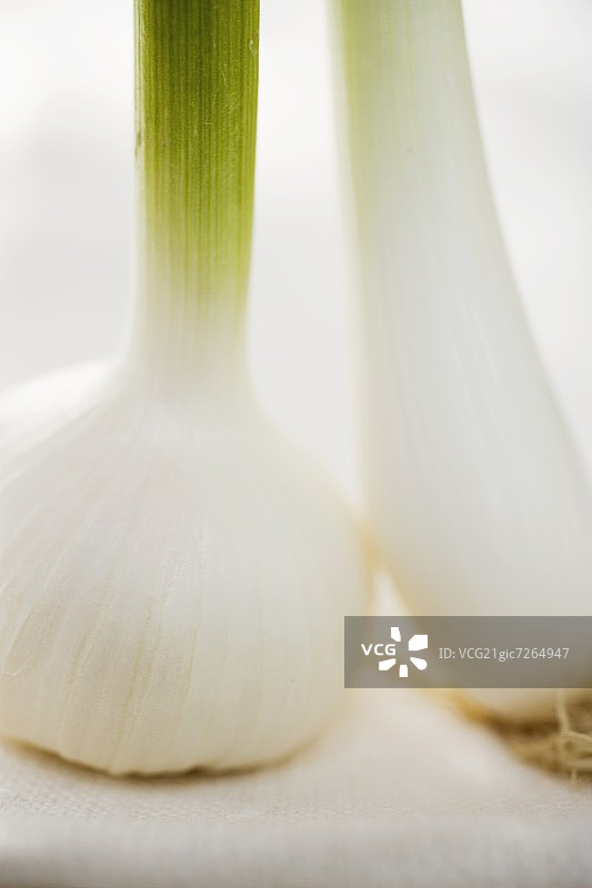 新鲜大蒜和葱（细节）图片素材