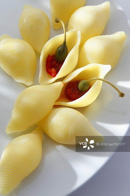 番茄刺山柑贝壳面图片素材