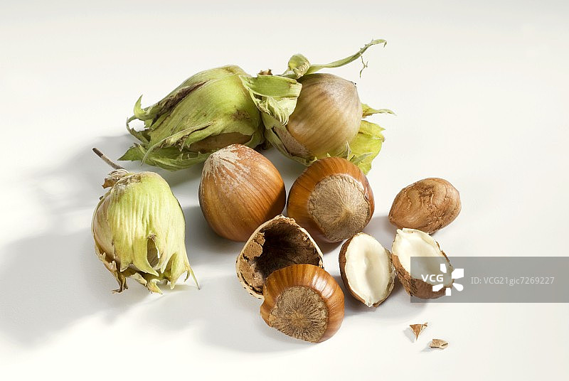 带壳和不带壳的榛子图片素材