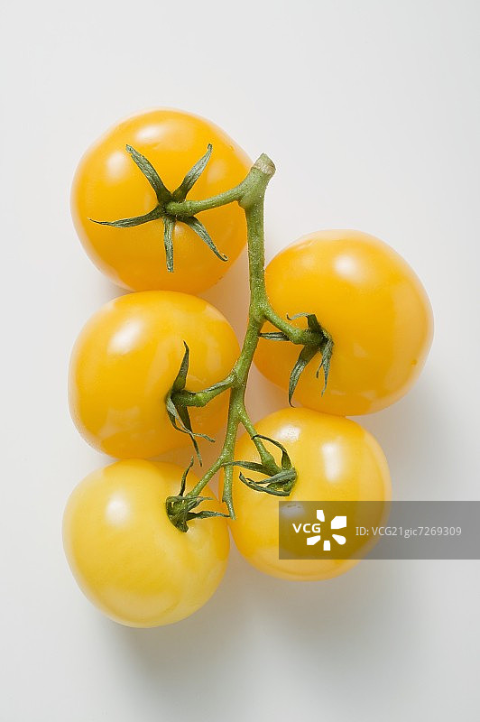 五个黄色樱桃番茄图片素材