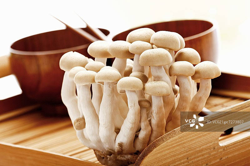 木制托盘上的真姬菇图片素材