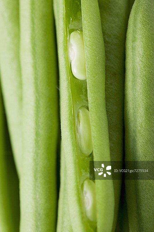 绿豆特写图片素材