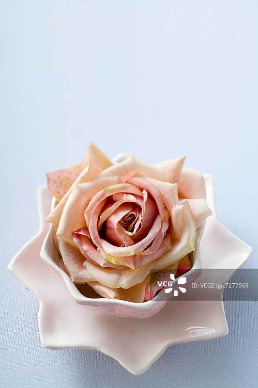 粉色碗中的玫瑰图片素材