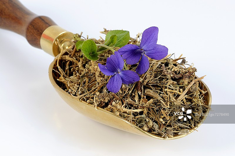 勺子里的紫罗兰根和紫罗兰图片素材