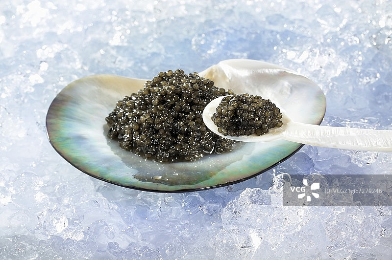 贝壳与珍珠母贝勺中的黑鱼子酱图片素材