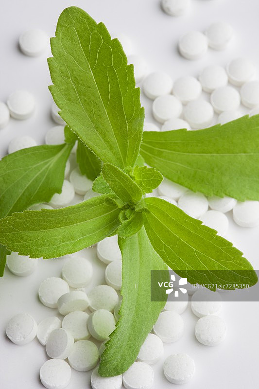 甜叶菊叶片和片剂图片素材