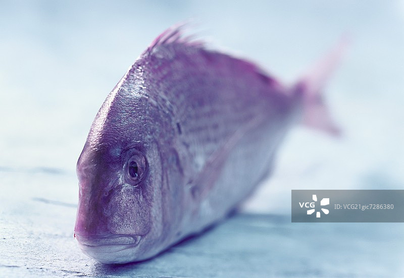 常见的潘多拉图片素材