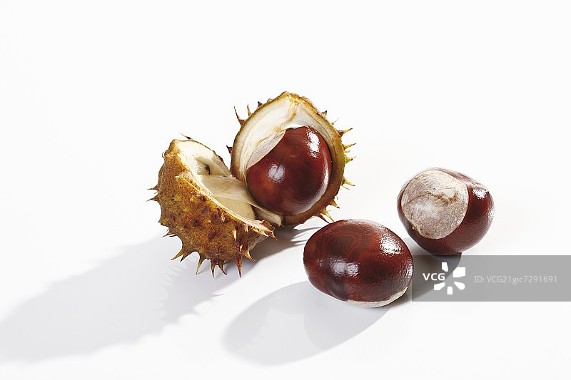 带壳和不带壳的七叶树图片素材