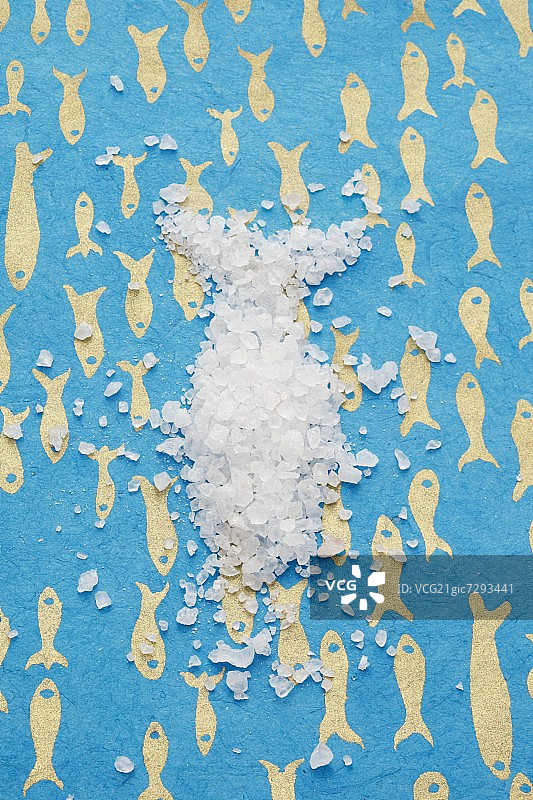 用海盐制成的鱼形图片素材