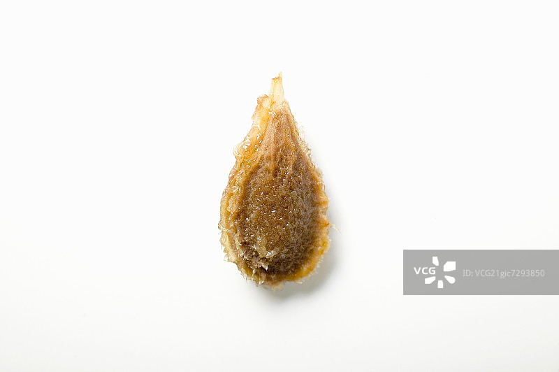 欧洲李子的果核图片素材