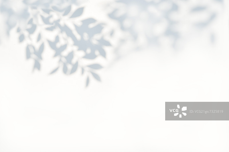 阳光透过树叶图片素材