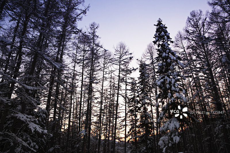 群马县水上高原的日落图片素材