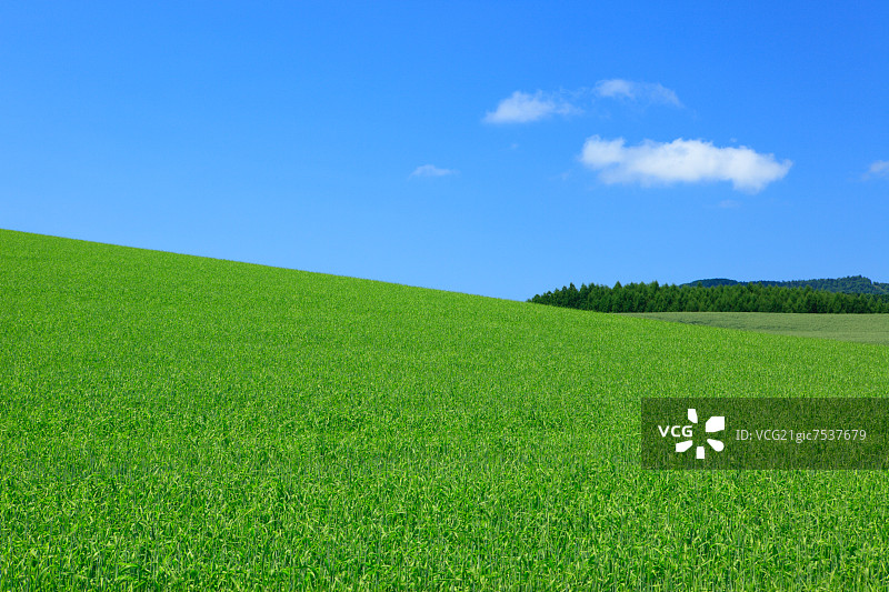 北海道的草原和天空图片素材