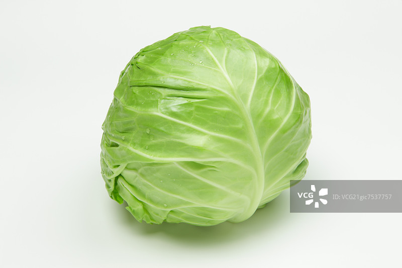 卷心菜图片素材
