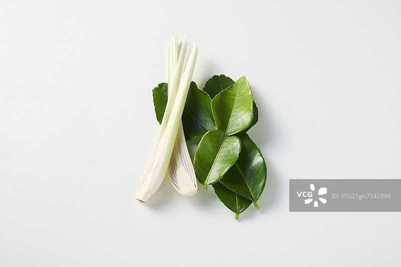 柠檬草和柠檬叶图片素材
