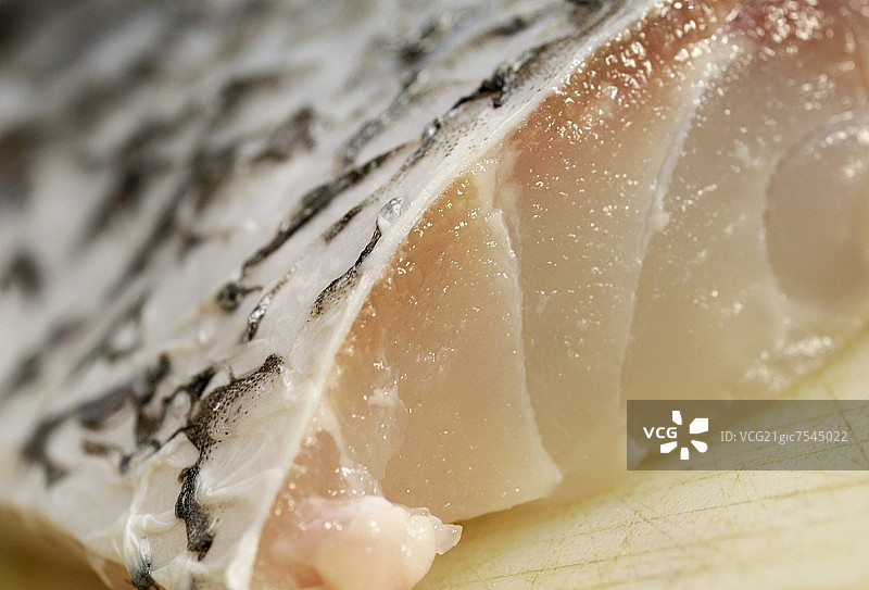 箭鱼（特写）图片素材