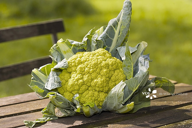 花园桌上的一棵罗马花椰菜图片素材