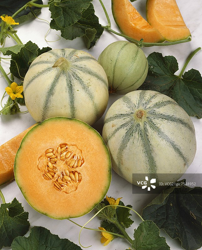 夏朗德甜瓜图片素材