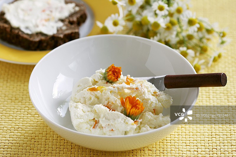 姜汁金盏花夸克图片素材