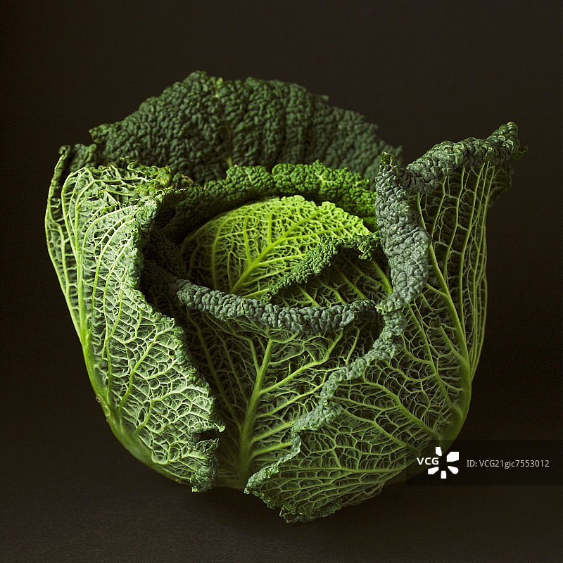 皱叶甘蓝图片素材