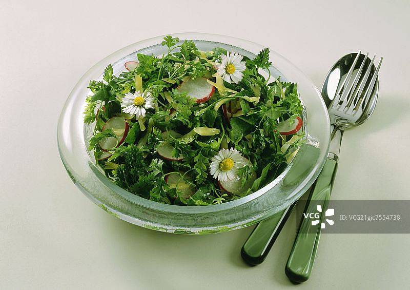 三根欧洲防风草图片素材