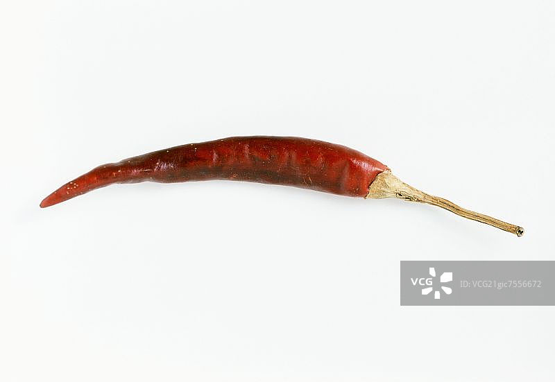 干树辣椒图片素材