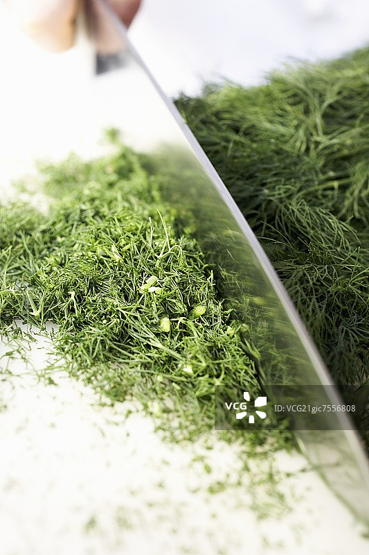 切莳萝图片素材