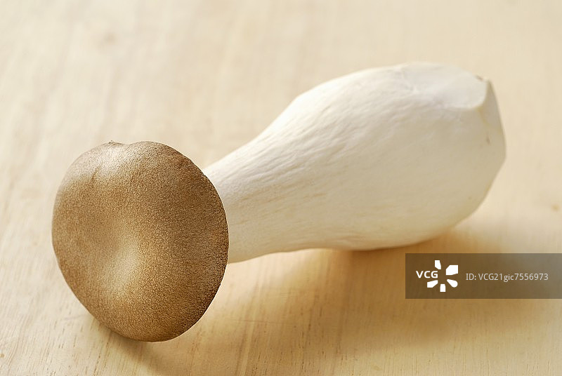 新鲜的杏鲍菇图片素材