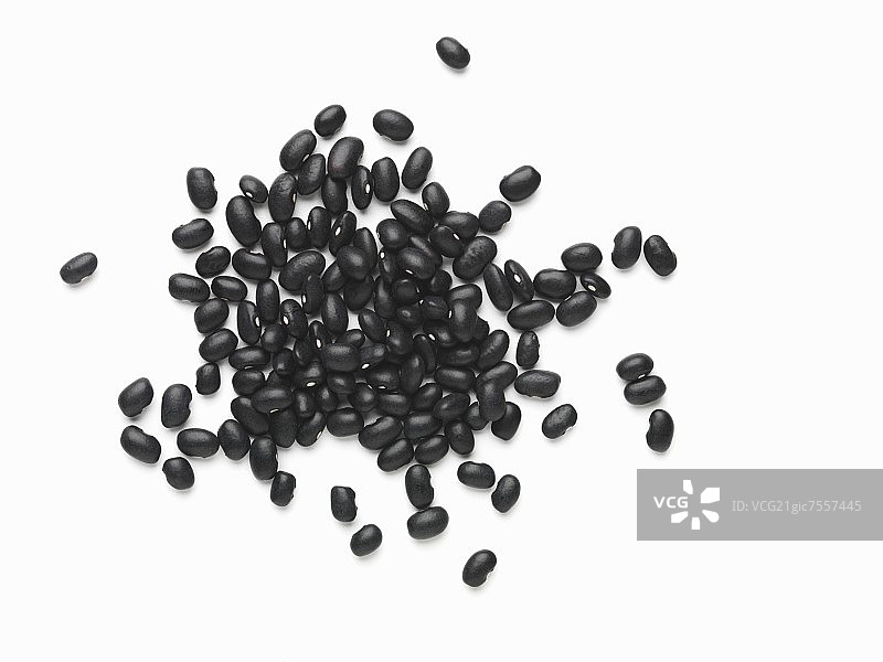 黑豆图片素材