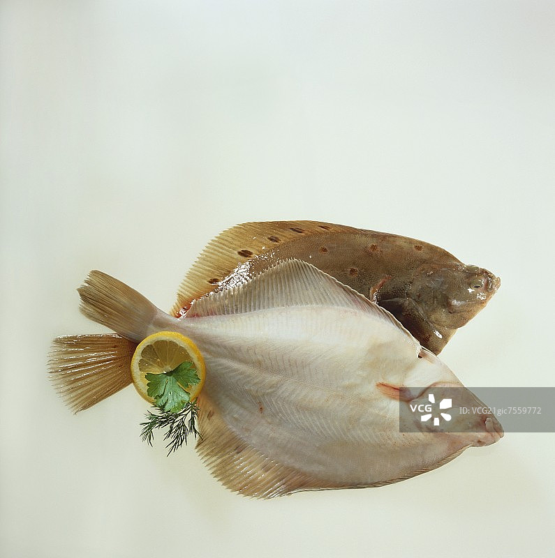 带鳞和去鳞的鲽鱼图片素材