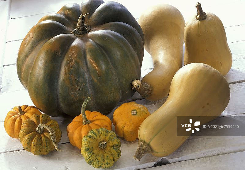 普罗旺斯麝香南瓜图片素材