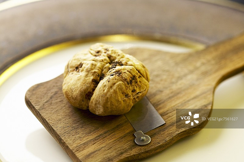 松露切片器上的一颗白色松露图片素材