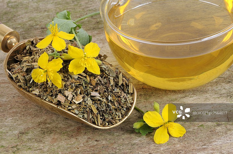 白屈菜茶、干燥的白屈菜与鲜花图片素材