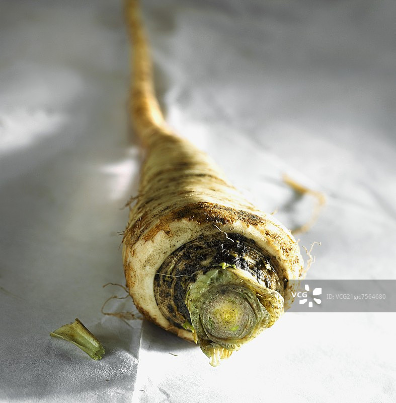 新鲜的欧洲防风草图片素材